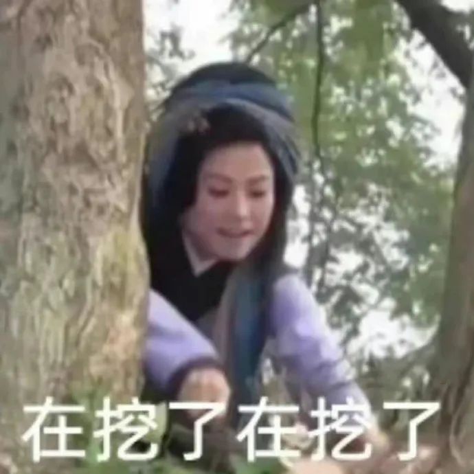 #每天一条冷知识#依靠有力的前臂，棕熊冬眠时能挖走约1吨泥土，它们的体重会减少约
