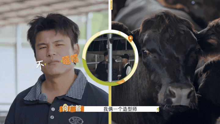 建议节目组下期安排广智和牛牛同框！连倔强的发梢都透着亲缘关系，这波跨物种撞发型可