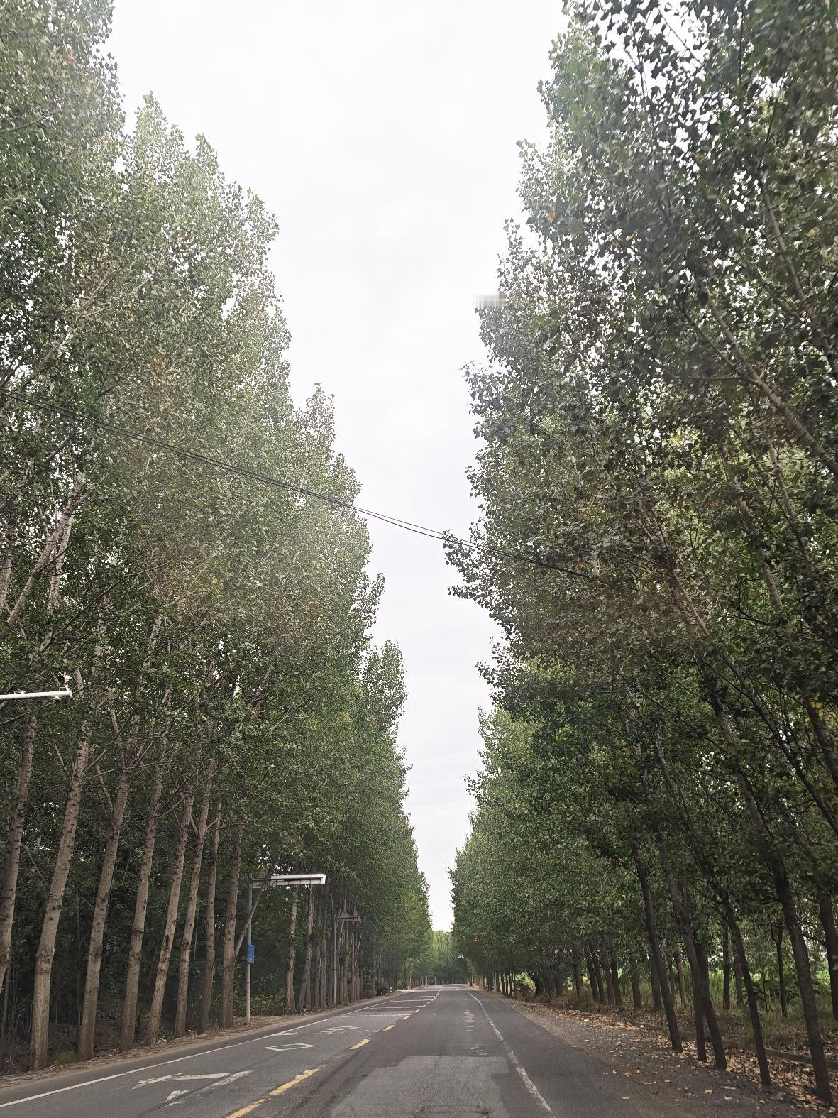 俺这个人原本就胆小，既怕狗又怕猫，在深山老林里不定能碰到些什么。
所以，俺是绝对