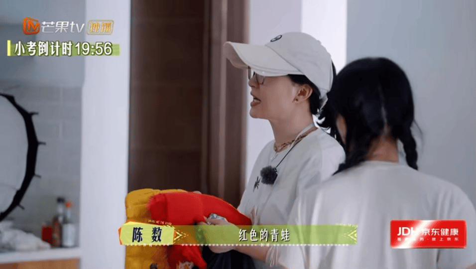 陈数的丑衣服都没白带看到了吧看到了吧，陈数完美诠释什么叫做：我的衣服不是丑，是未