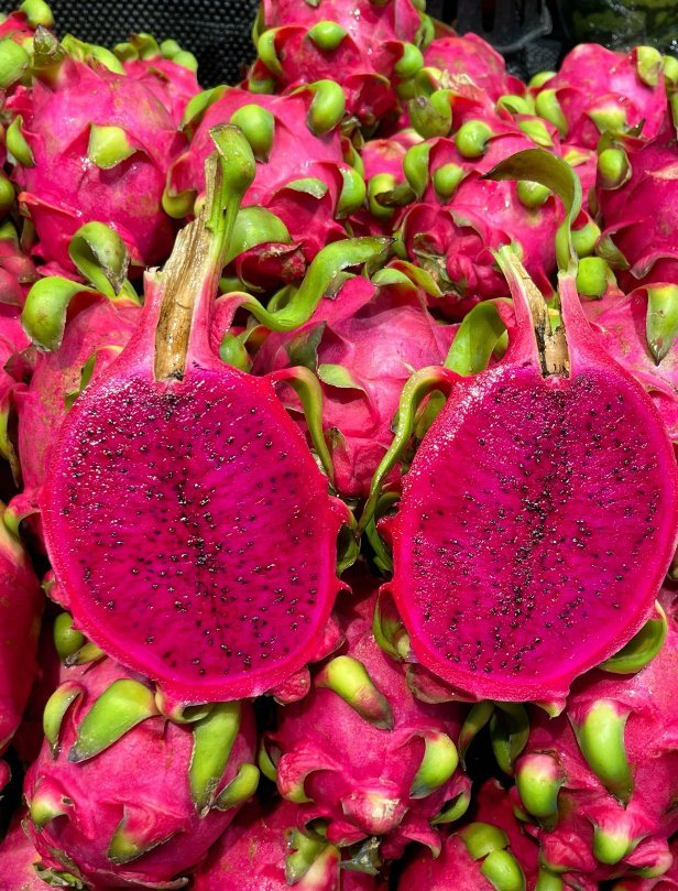 火龙果种植方法一、选种催芽：选成熟饱满的种子，洗净果肉，晾干后撒播于湿润育苗盘，