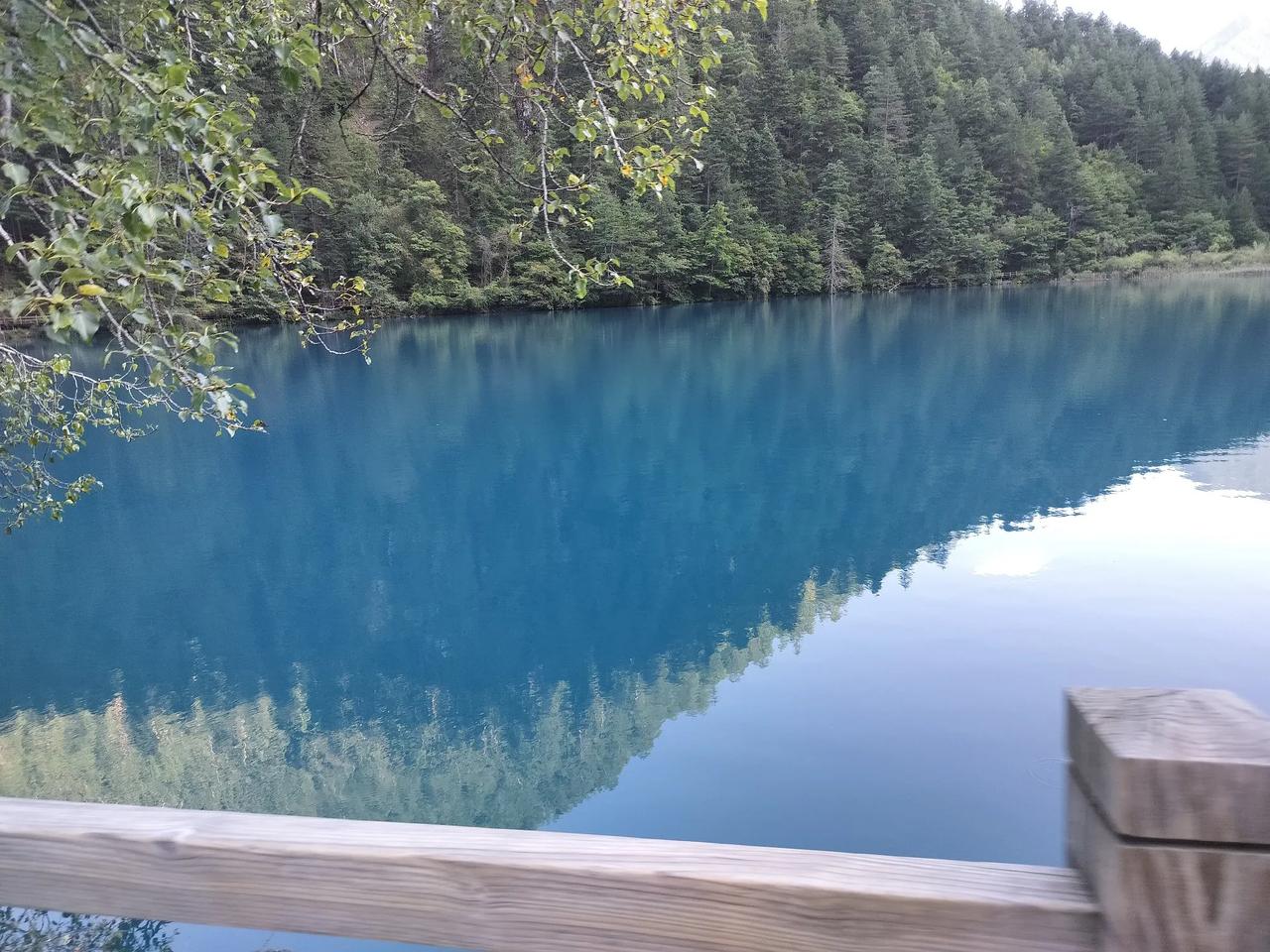 天南地北大拜年中奖