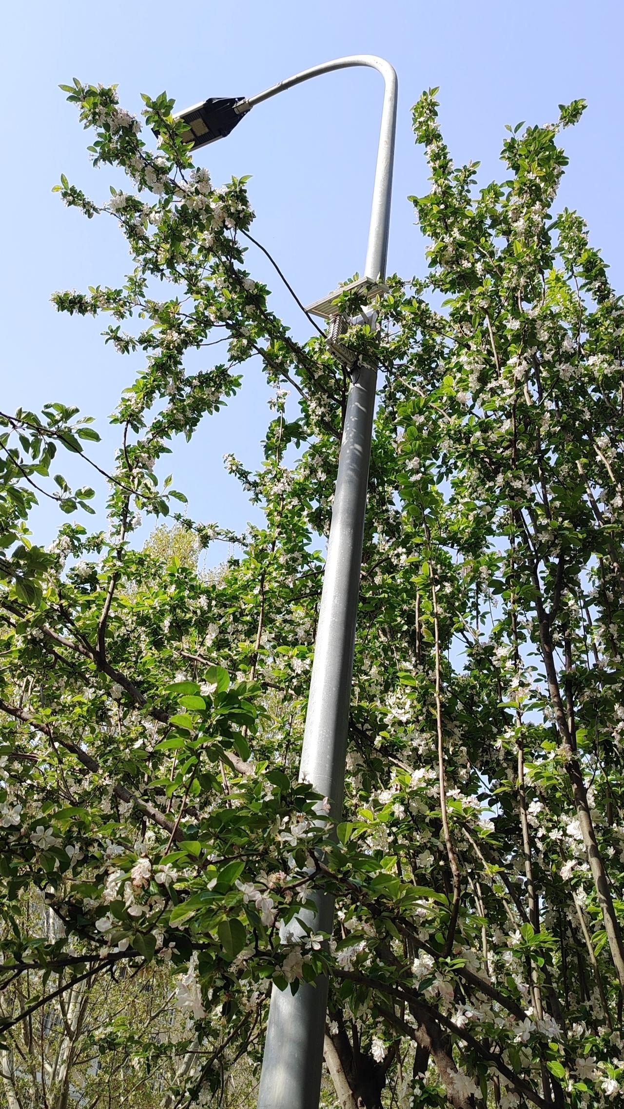 小故事：一位中年男子在深夜加班回家，发现车停在楼下却不想上楼。他在车里坐了十分钟