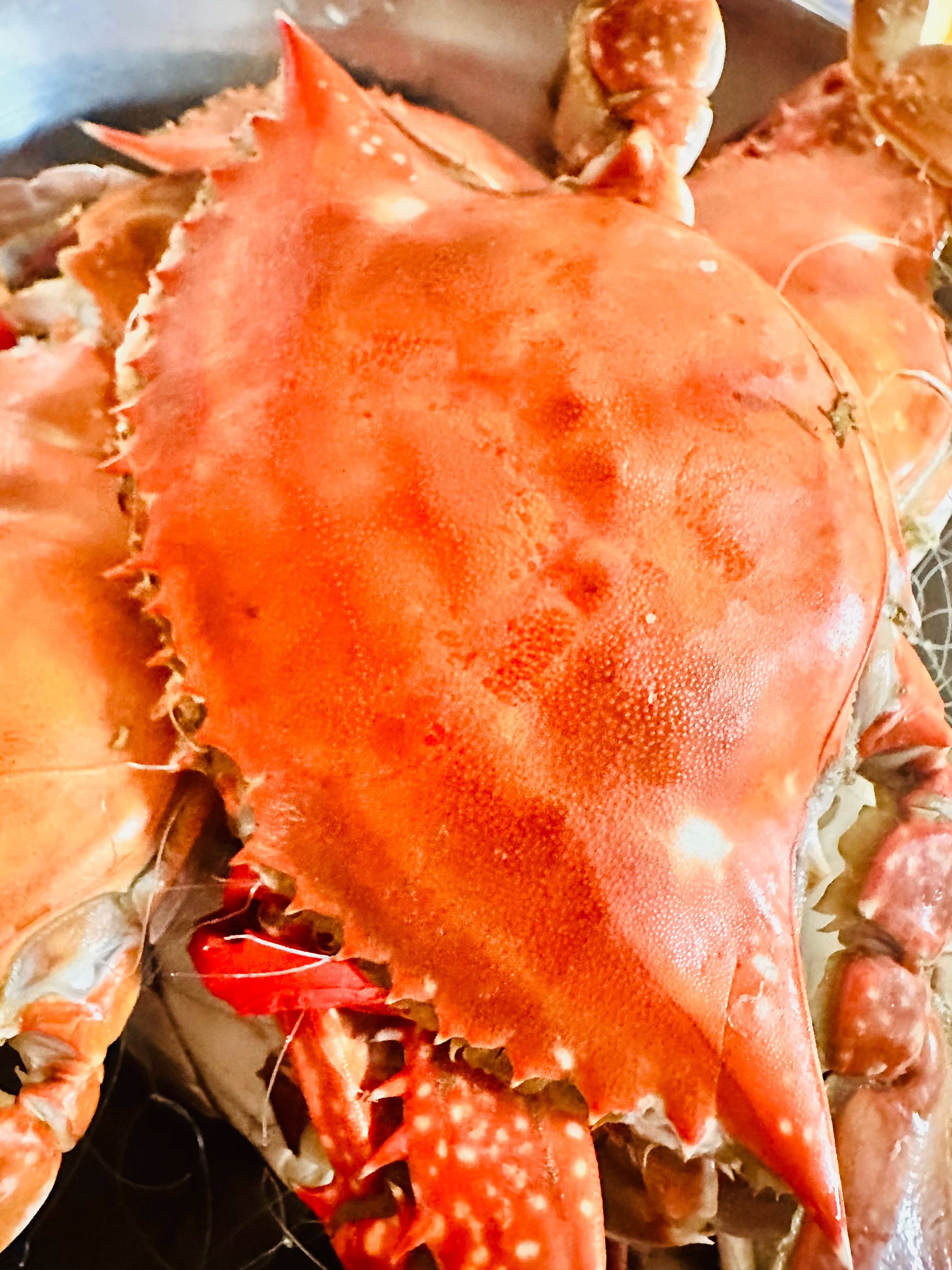 🦀季来了 开炫～KFC新出的奶呼呼红苹果圣代好吃 开炫🥰 ​​​