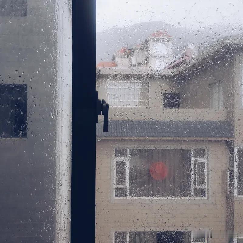今天又是阴雨天
会不会来一阵儿暴雨
还不清楚
希望赶在大雨之前
赶到家里