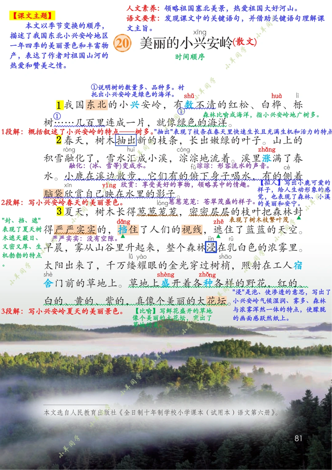 三年级上册🌻第20课《美丽的小兴安岭》