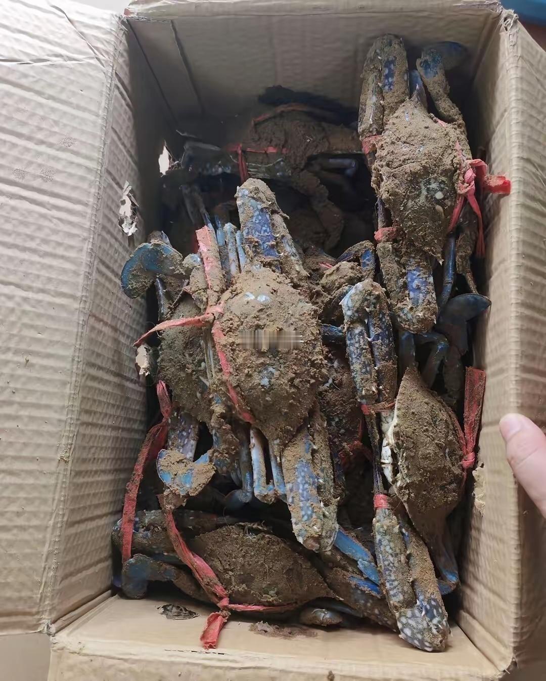 朋友送的，这个能吃吗 ​​​