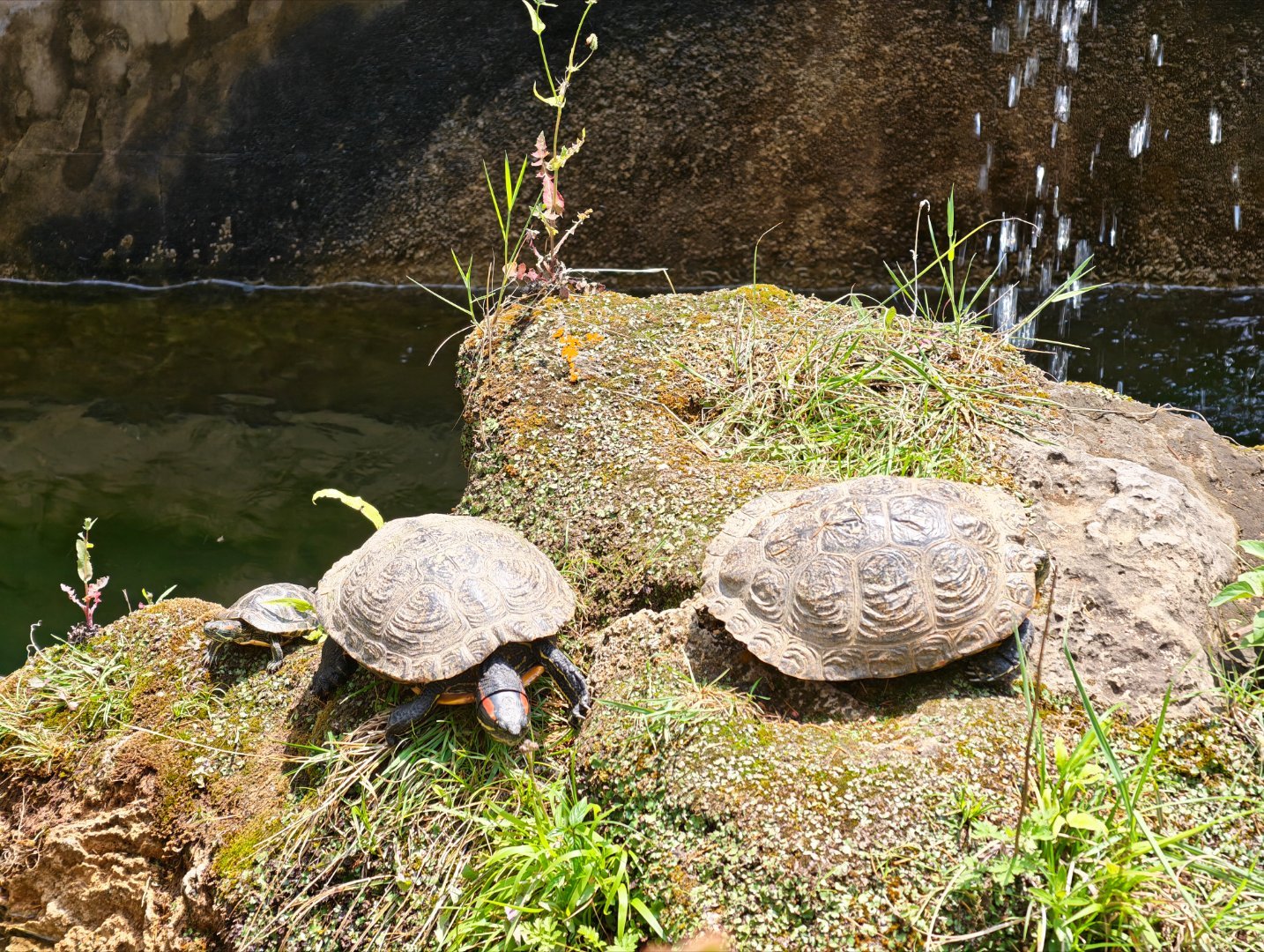 凑个三月三热闹，春天果然是怎么拍都看着舒服。 