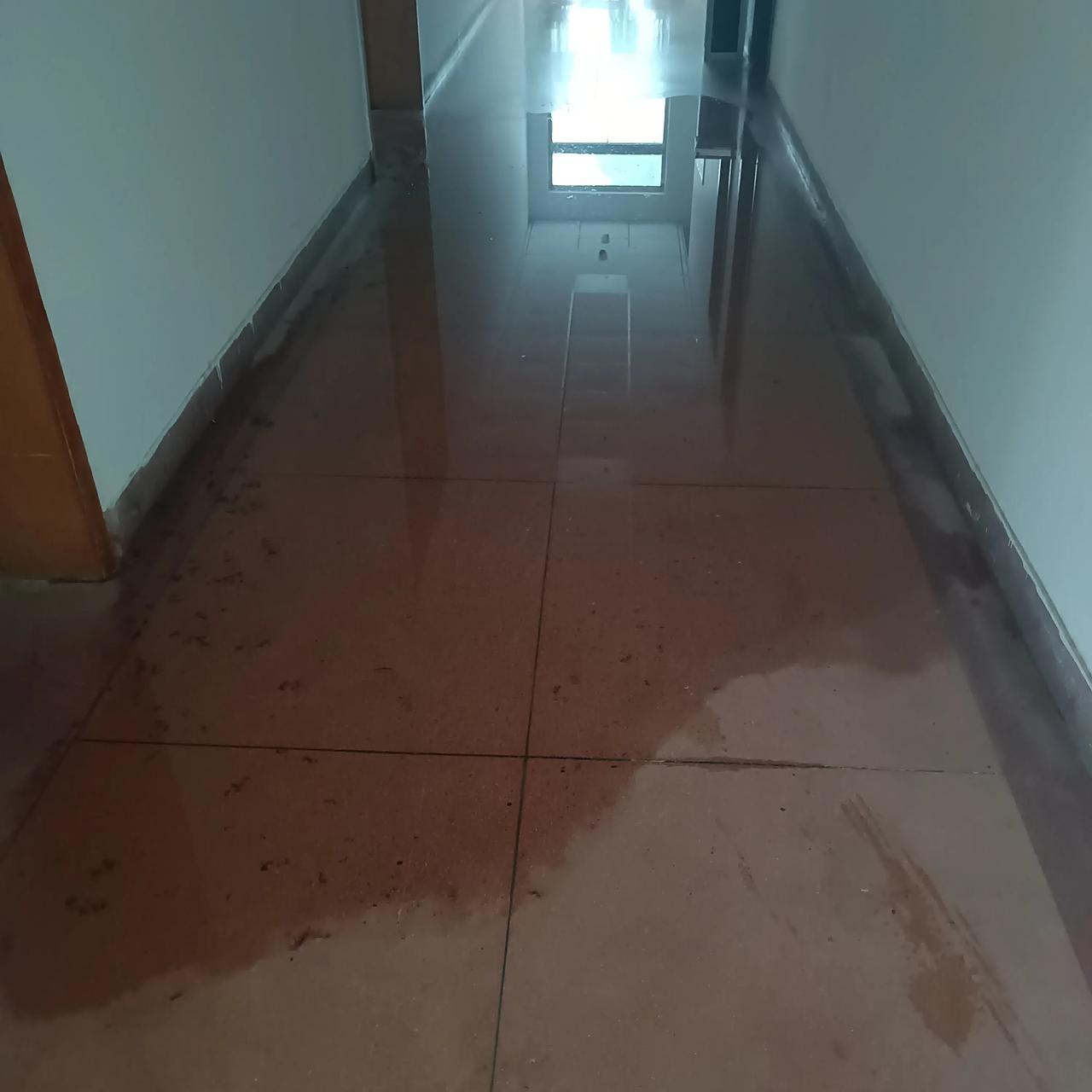 楼道里都进水了
办公室的地板
估计不能用了
