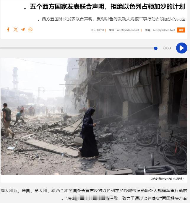 五眼联盟（澳大利亚、德国、意大利、新西兰和英国）、荷兰、比利时、丹麦等西方小国的