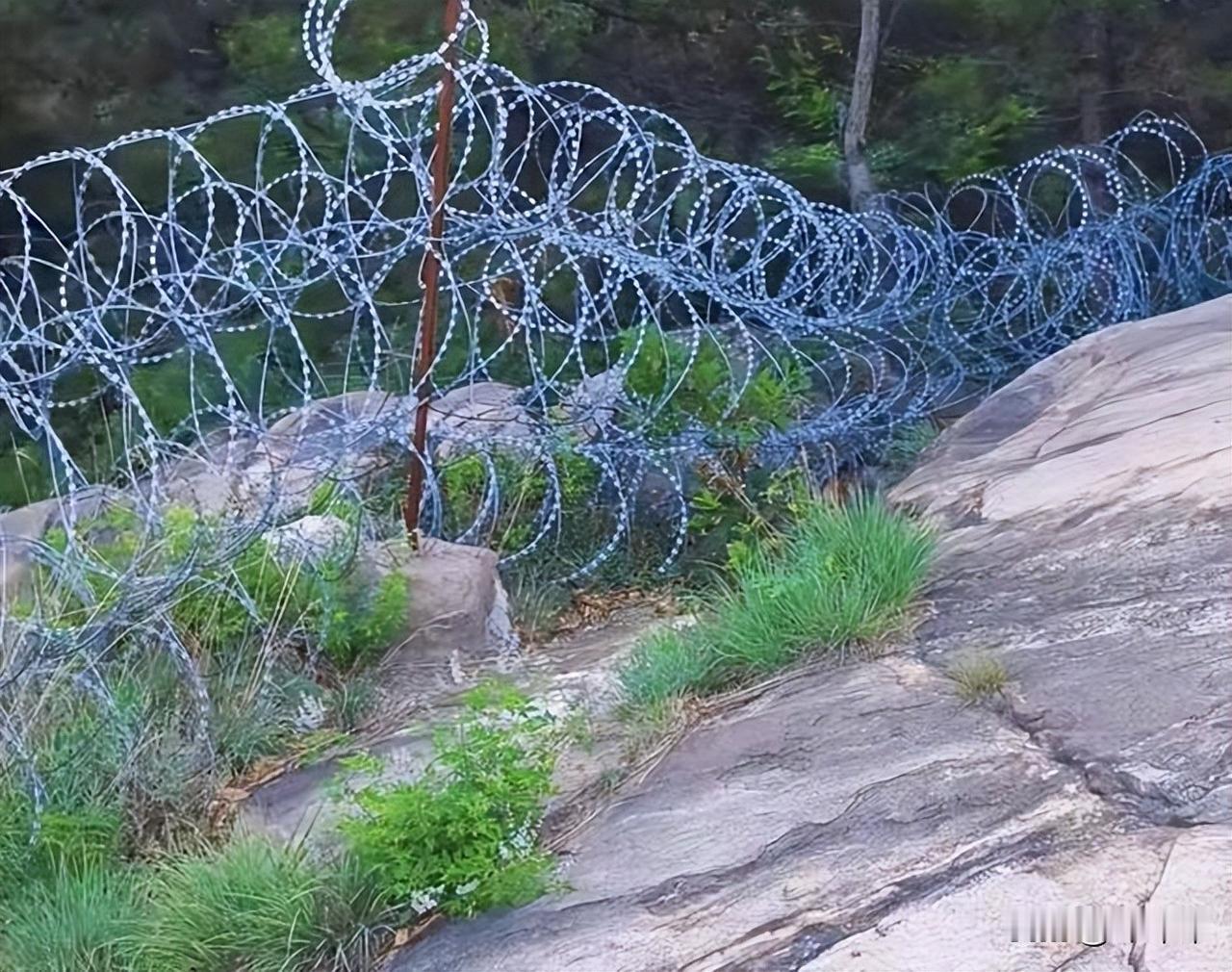 泰山景区修建滚筒式刀片刺绳隔离网景区封闭泰山的目的只有一个：增加收入！可是，想到