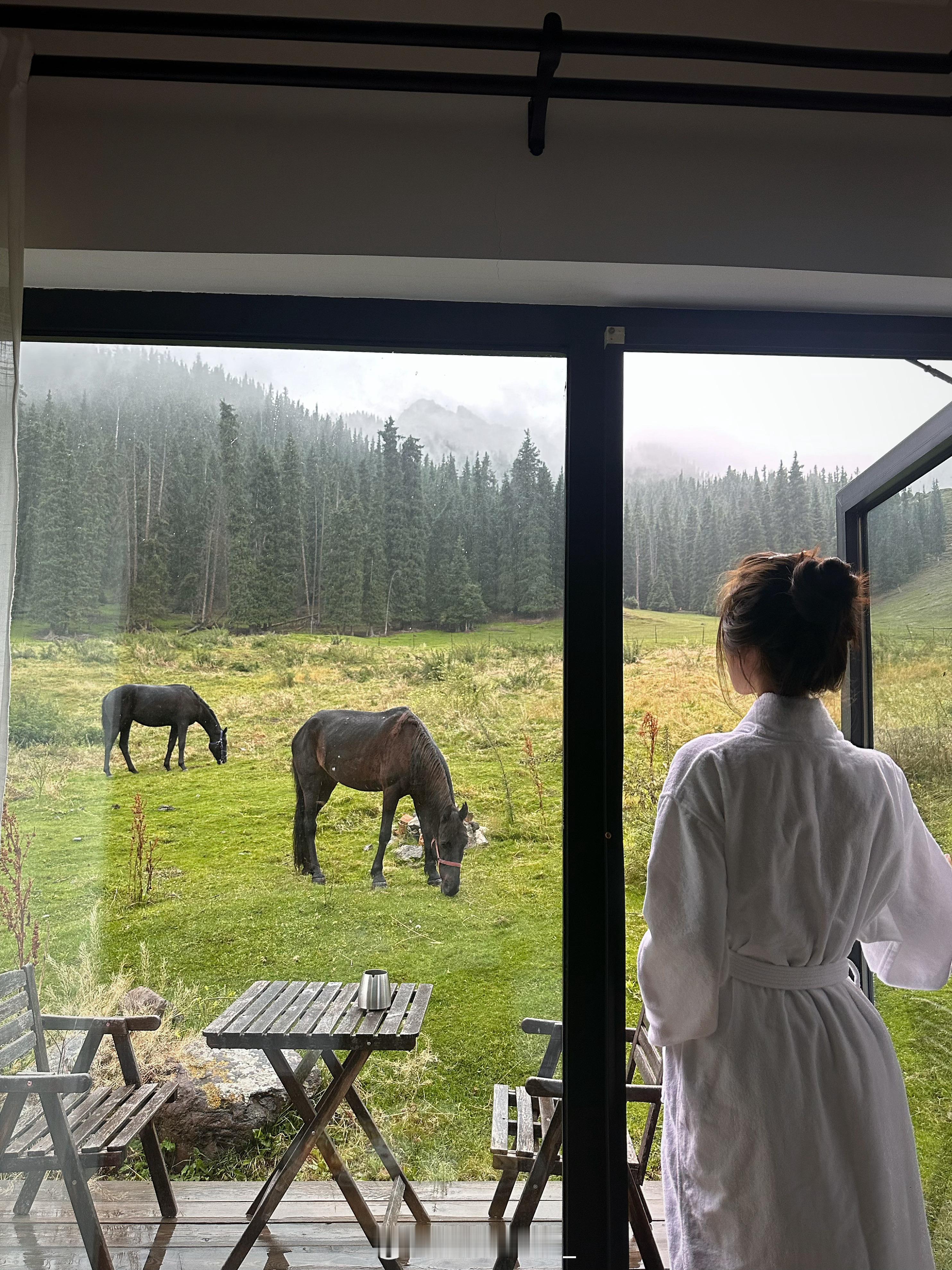 山在 树在 自由在🌲  ​​​