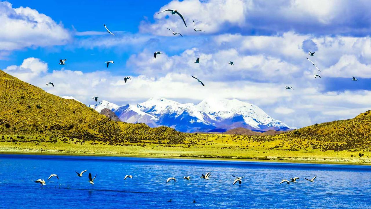泡一场雪山下的新年温泉：山南桑日的沃卡温泉，是藏地著名的圣泉疗愈地，相传不同的泉