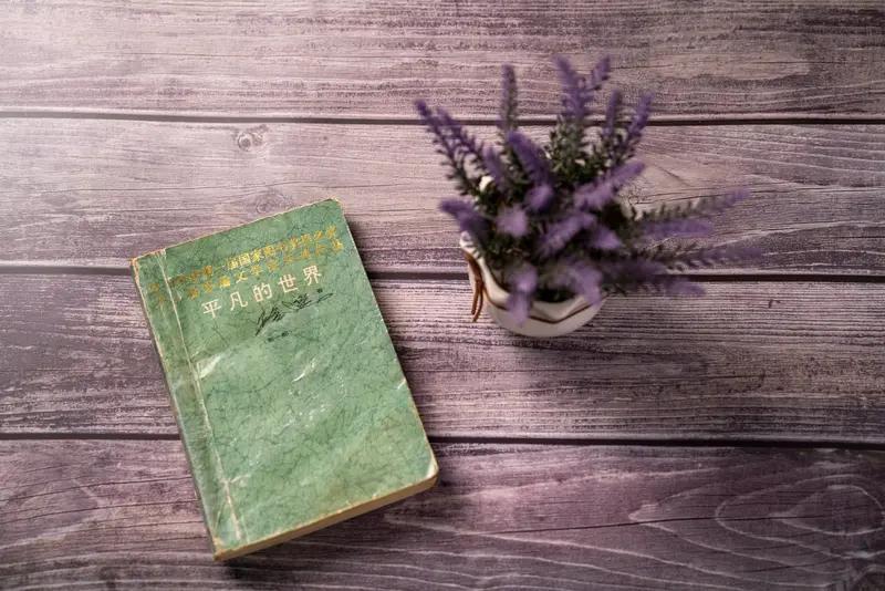 昨晚上很难入睡，失眠了，听了一个晚上的《平凡的世界》。

今年的冬天不像冬天，到