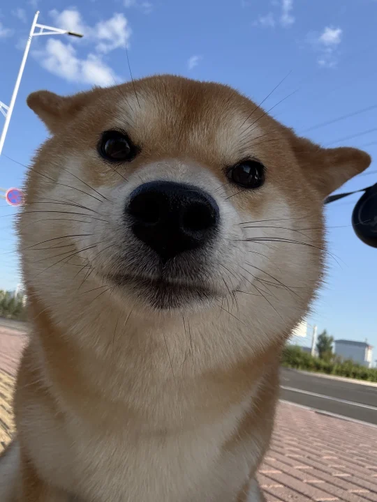 ee看看我在干嘛