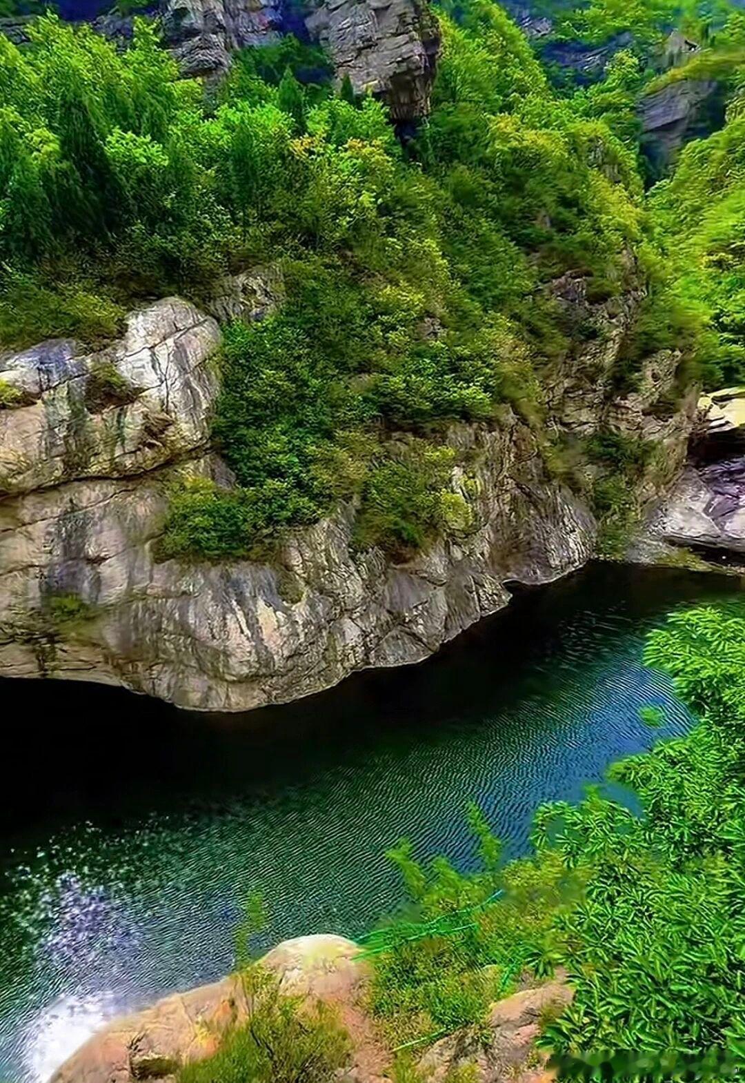 静心耕耘，美好自会如期而至。早安，每一个你！早安早安心语早安