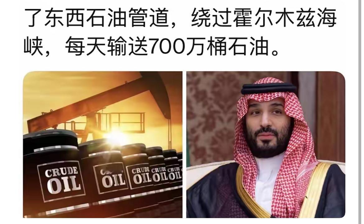 终于知道，巴基斯坦军队进驻沙特的主要目的和任务了。

目的在于防范其他国家的空军