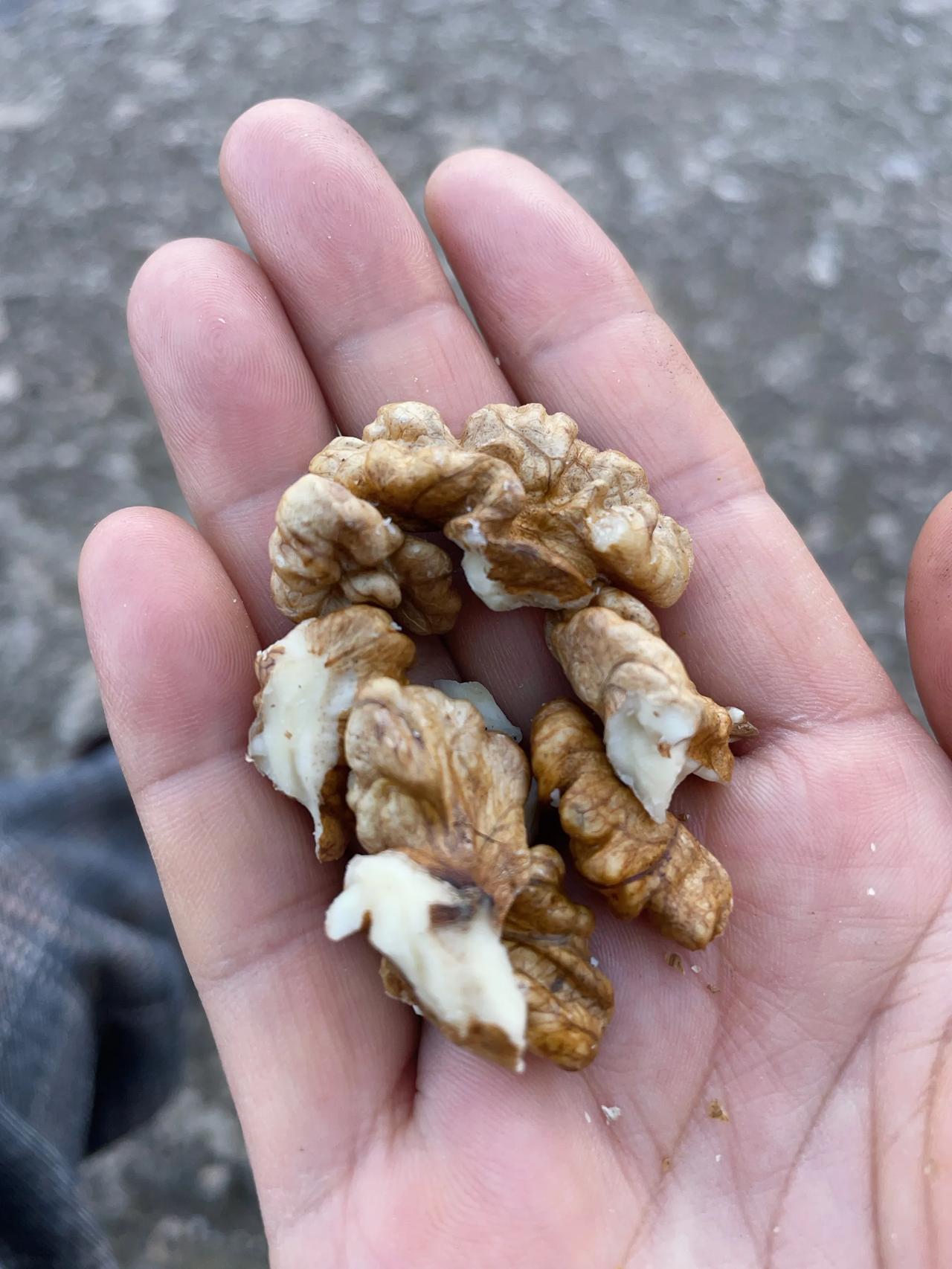 
今天快进城时，车在长坡里出现问题，只有停靠路边。
正好有个农村大妈站在家门口，