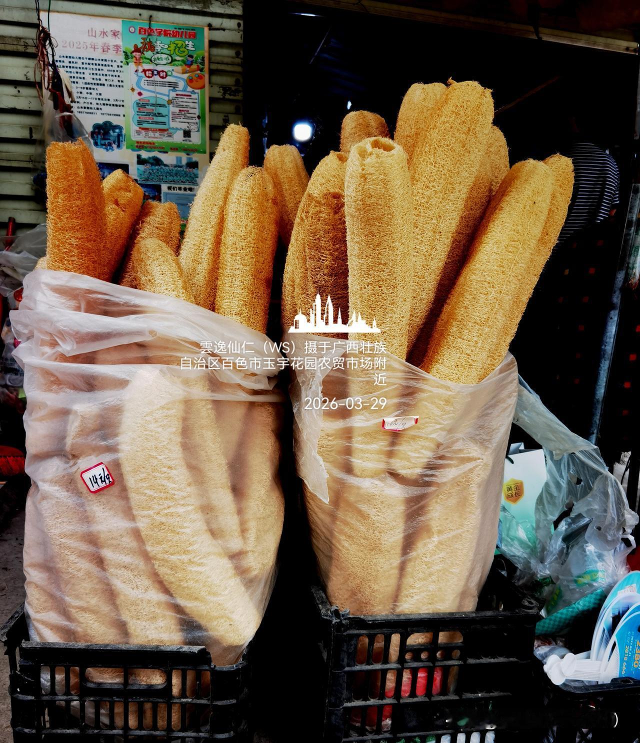 旅居生活记录（9460）广西壮族自治区百色市（145）逛玉宇花园农贸市场、拉域村