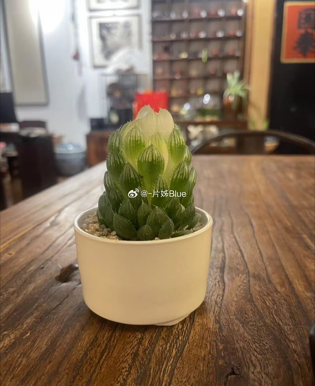 高考就这样不经意间结束了但人生的下一个阶段才刚刚开始带着勇敢带着期待也带着满腔热