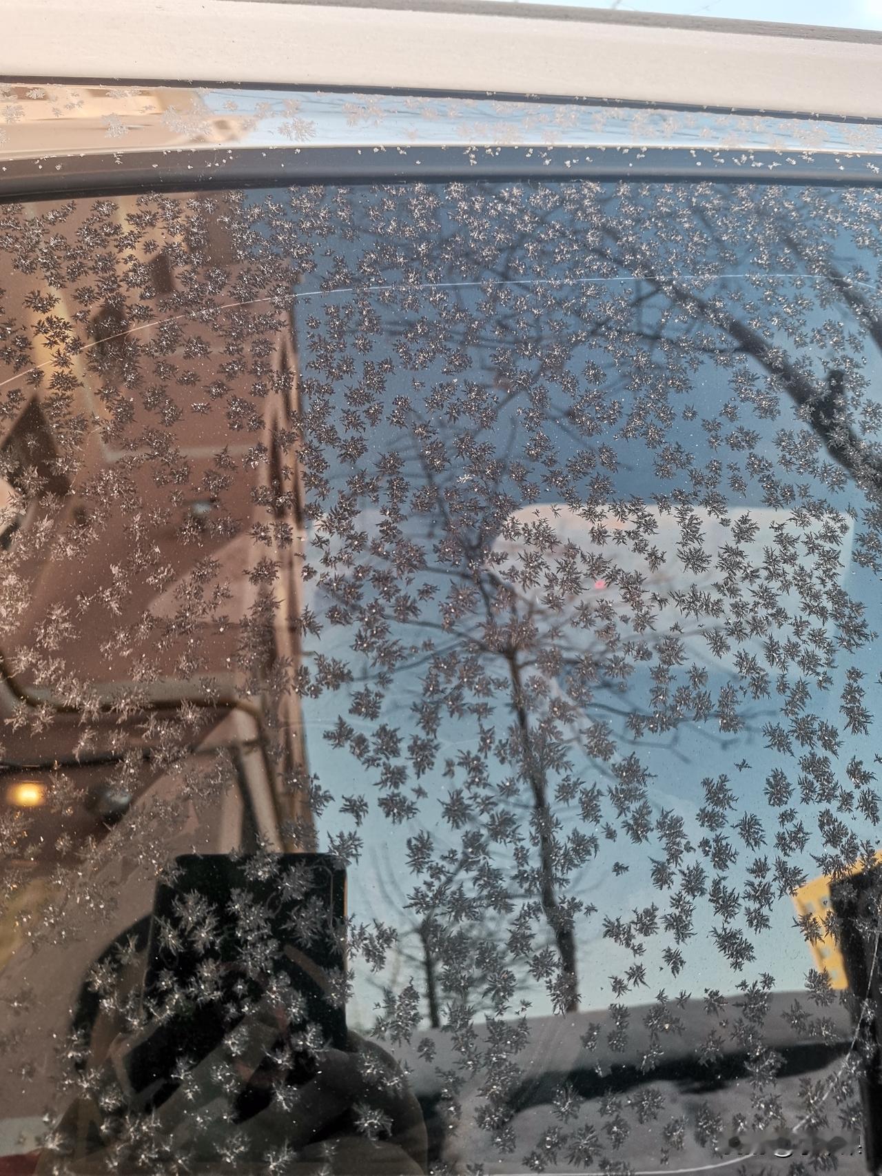 冰会滑人会走，冰和人其实是一样的，