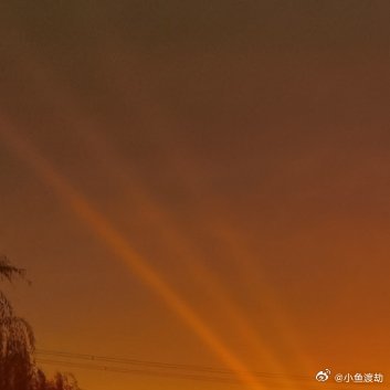 独居最残忍的一课，是直面自己所有的脆弱，无处躲藏。群居生活里，你可以靠别人掩盖短