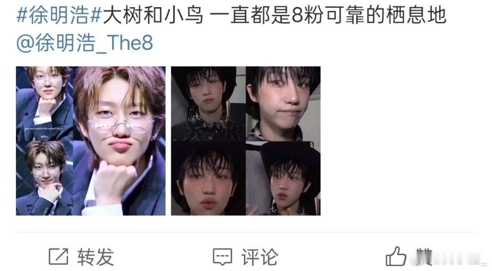 我真的求你了 ​​​