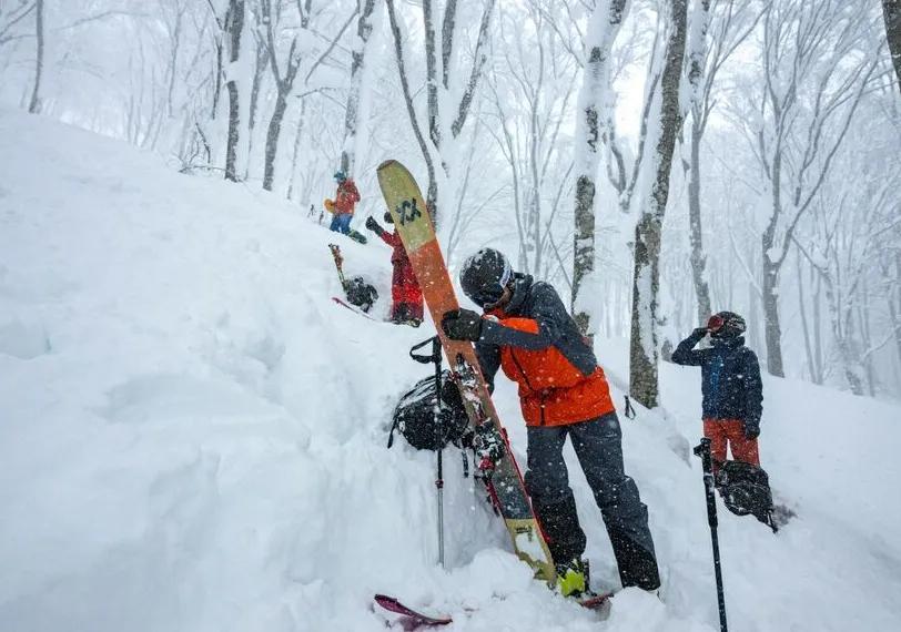 长野滑雪事故：43岁男性雪板撞树受伤 4人组野营过夜明早再救援