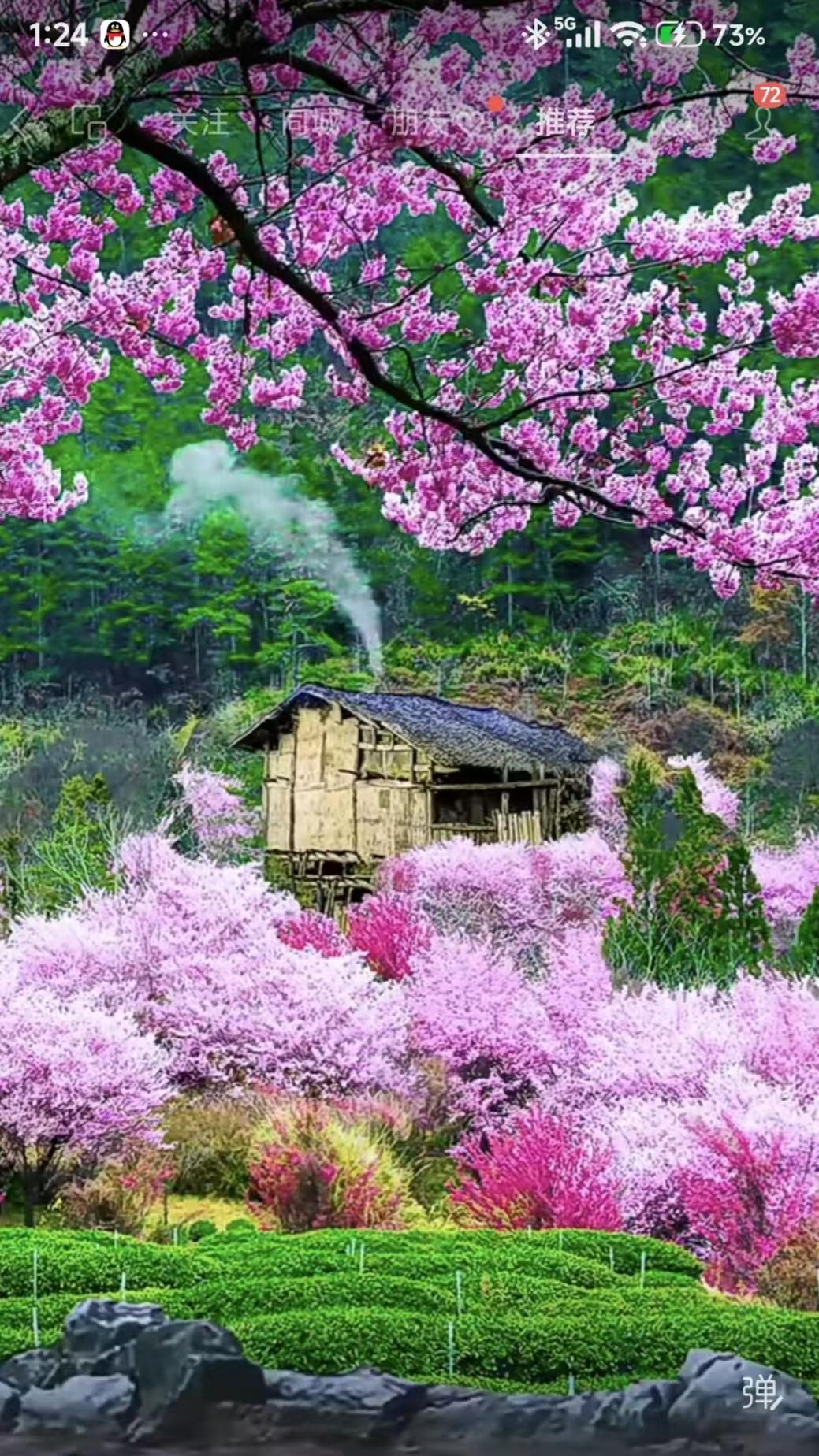 桃花
谁比桃花更可人，
半羞半掩暗销魂，
淡妆轻抹香风送，
红粉一枝天下春。