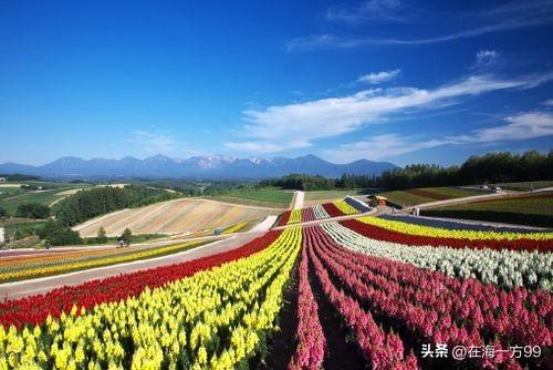闹闹把阿Q精神发扬光大，登峰造极。养老金要多少自己开，没有制度自己定，没人理睬自