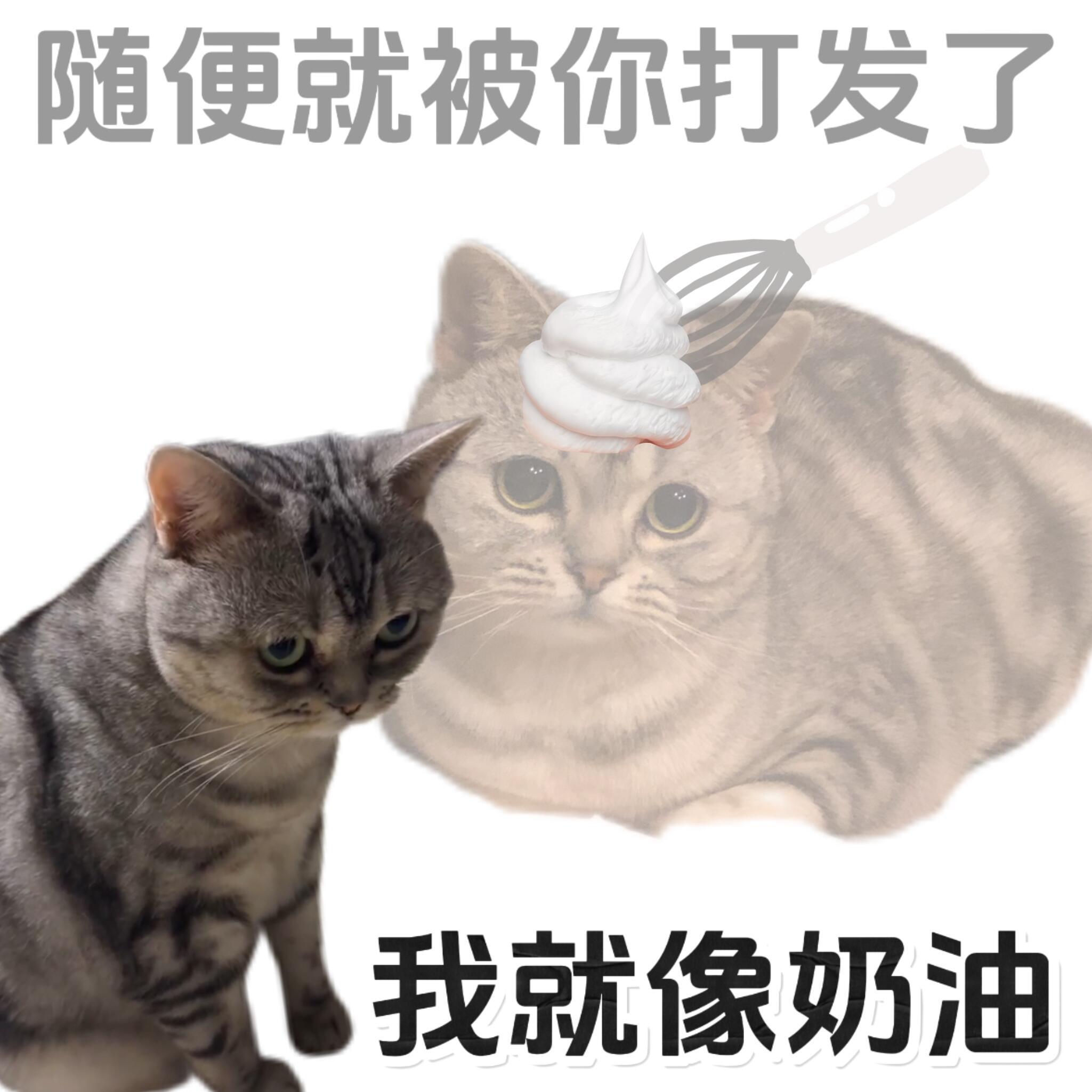 如何又怂又窝囊地生气 ​​​