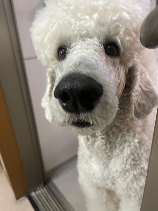 我要洗澡惹