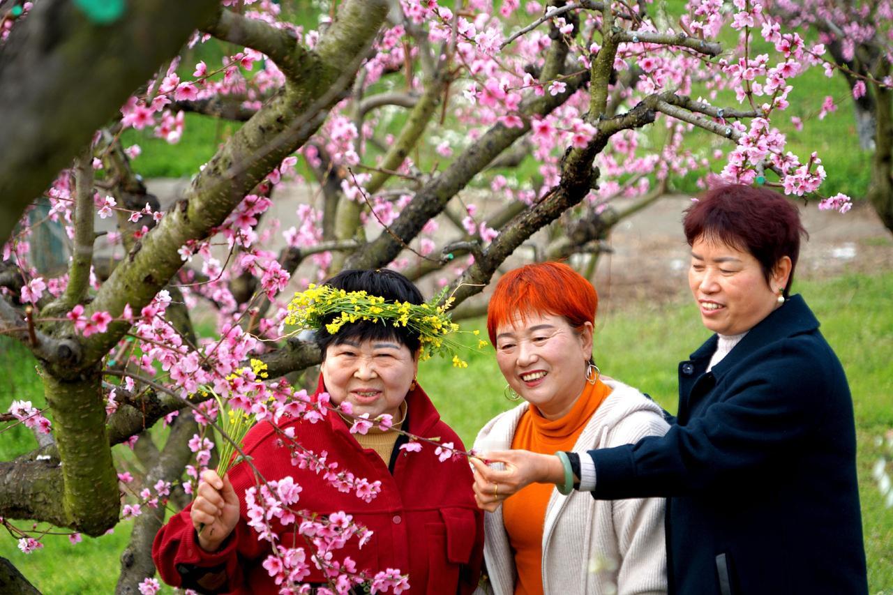 百亩桃花醉游人