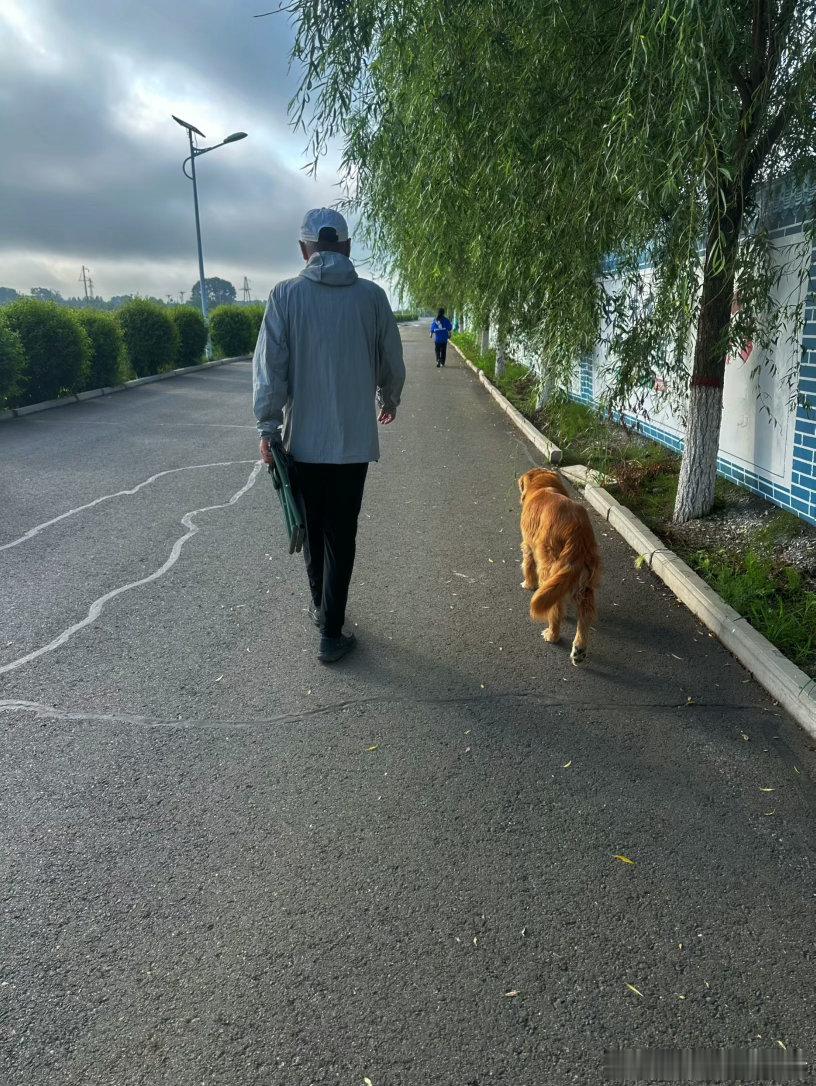 我那八十多岁的遛狗搭子和大包在前面岁月静好，而大爷的狗和家宝在后面…