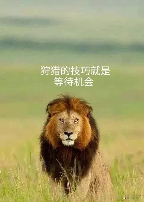 股票投资，我最看重两点：资金的流入和流出。
一支股票无论其如何状态低迷，只要有资