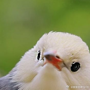 向善是一种文明，也是一种光明。善良之举，需要人人拥有，善良之歌，需要人人唱和。让