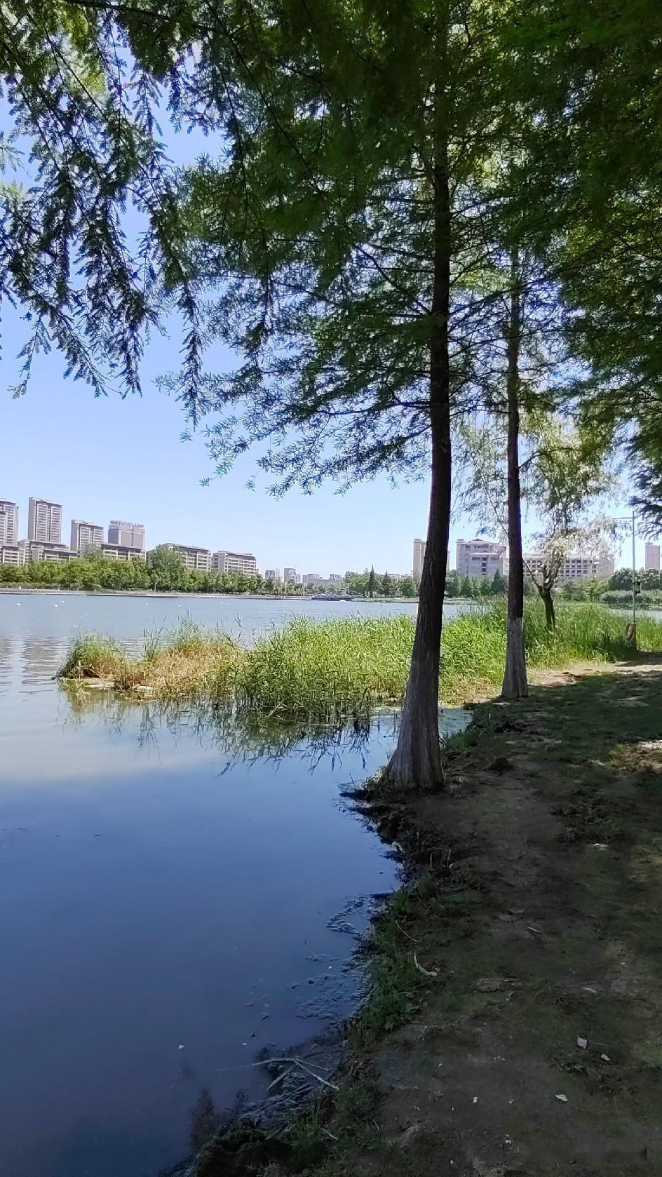 浅夏清宁，万物温柔
      春的温柔缓缓落幕，夏日便踏着轻柔的风，悄无声息漫