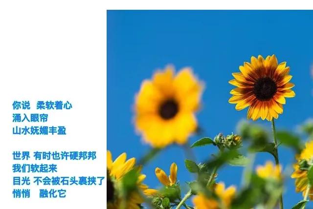 忙 忙着热爱草原大海
忙 忙着看花踏浪

忙中丢了妄念
忙里找到欢喜

忙着去遇