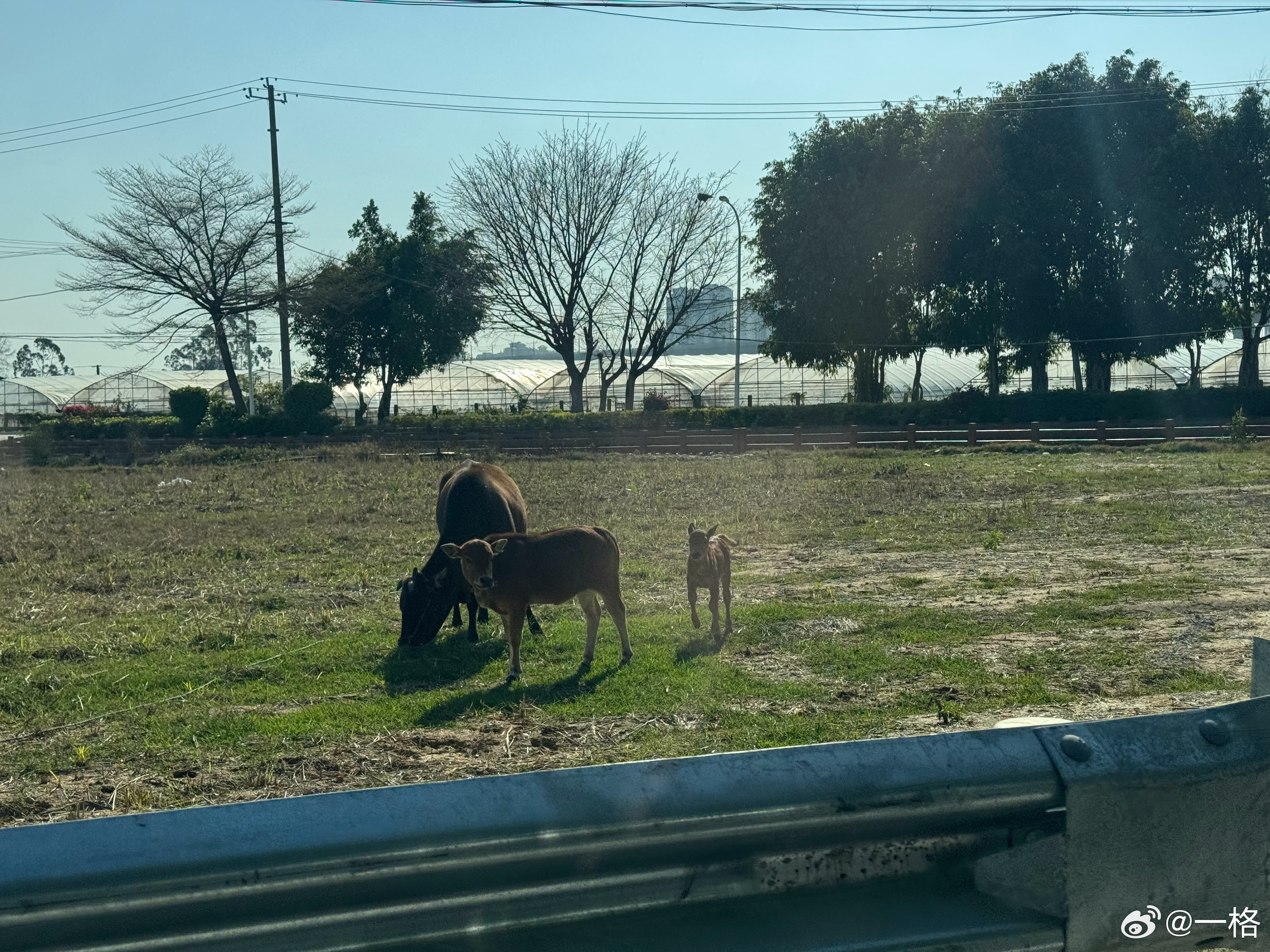 早上好朋友！今天约了厦门网友爬天竺山