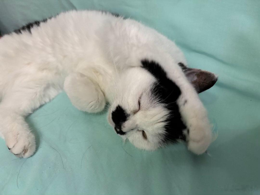 晚安💤 