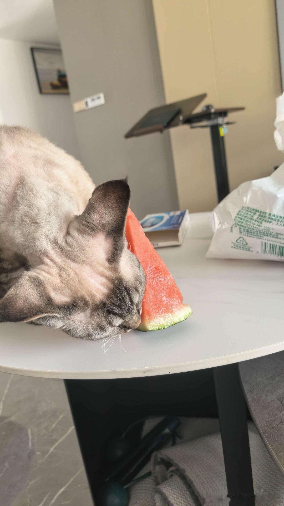 刷书 嫌疑人x的献身 刷毕 