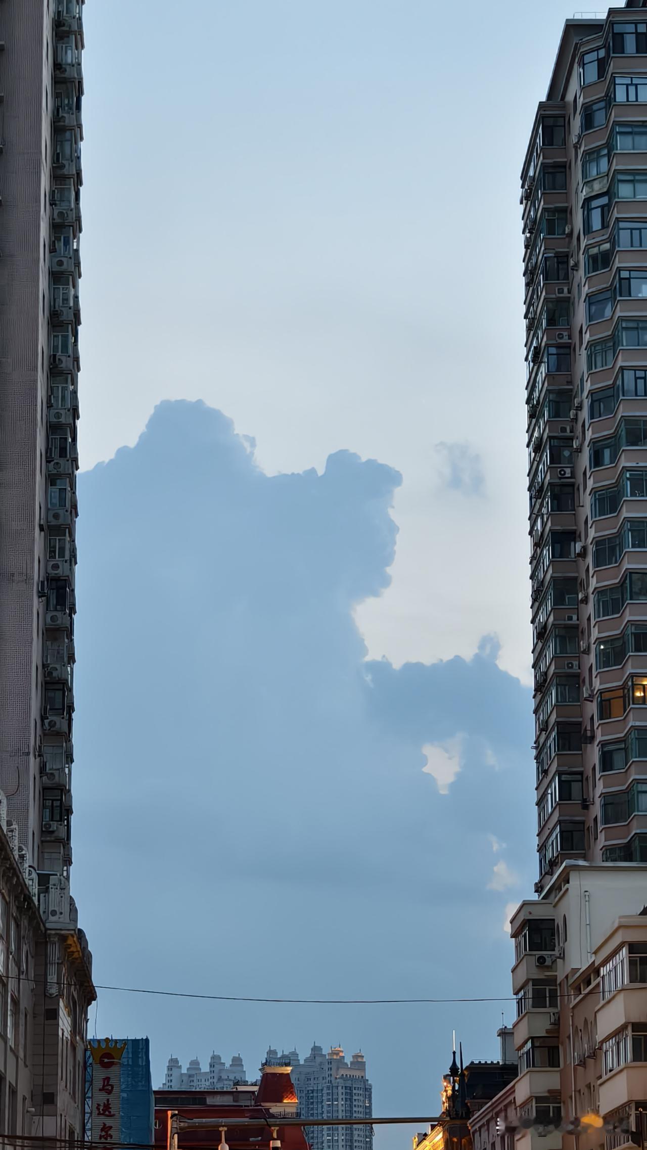 哈尔滨的夏天，即使阴天，天空都这么美。
这是我昨天傍晚拍的。
我站在路边看到远处