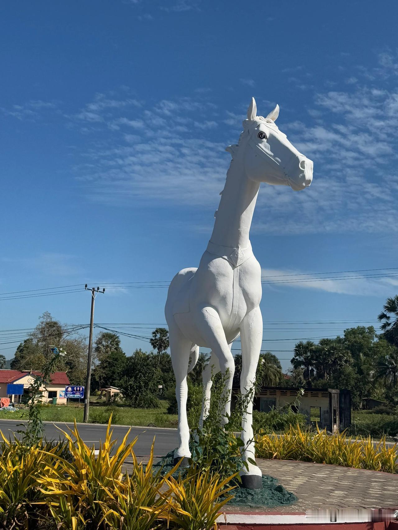 策马奔腾迎接2025年
