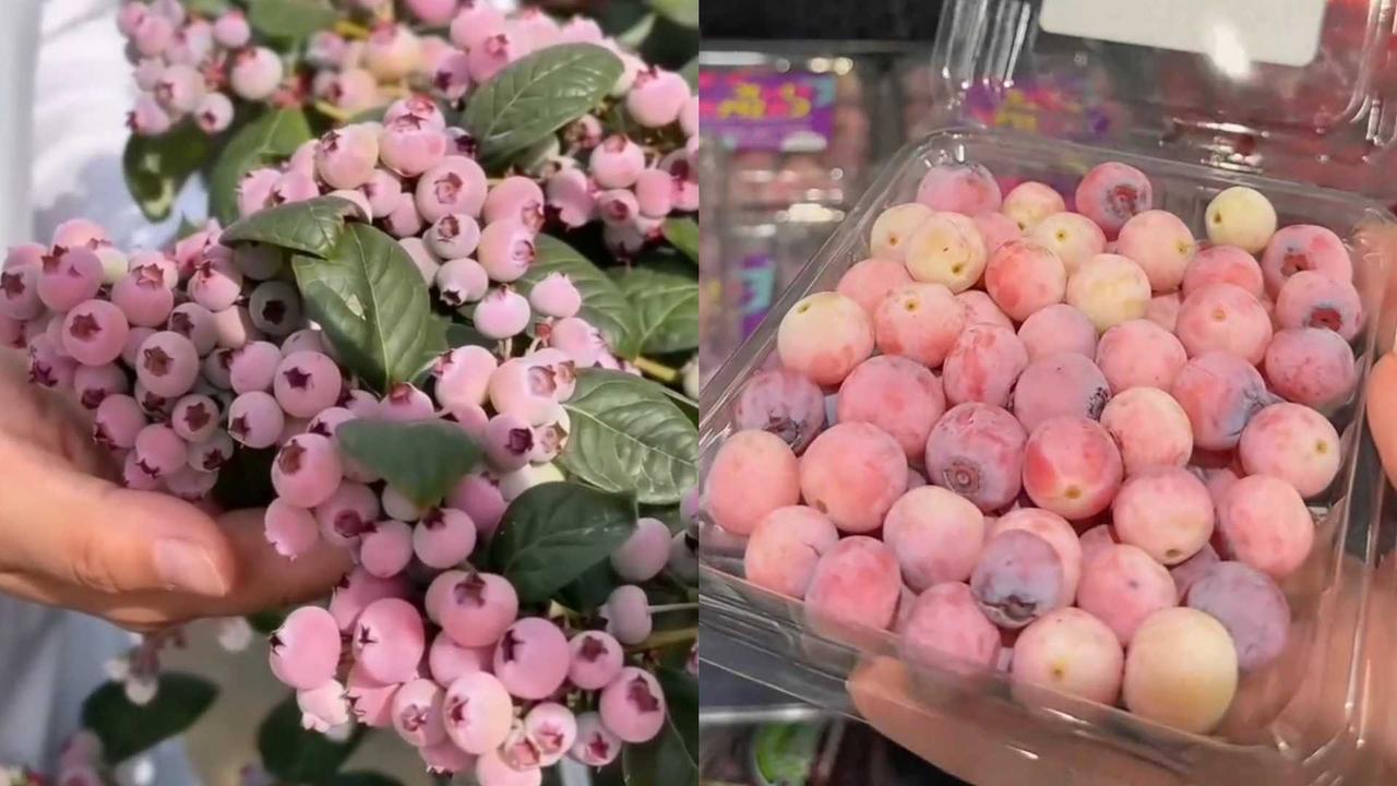 2026年4月18号12点，这可是个特别的时间。这天是农历二零二六年三月初二，丙