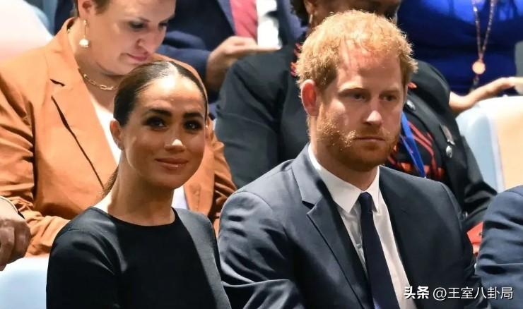 哈里梅根基金会失踪700万不足为奇！他们早就是“失信被执行人”了！
这次哈里和梅