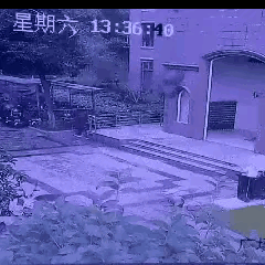 这起事件令人既愤怒又担忧，也再次敲响了高空抛物行为的警钟。根据我国法律法规，明老