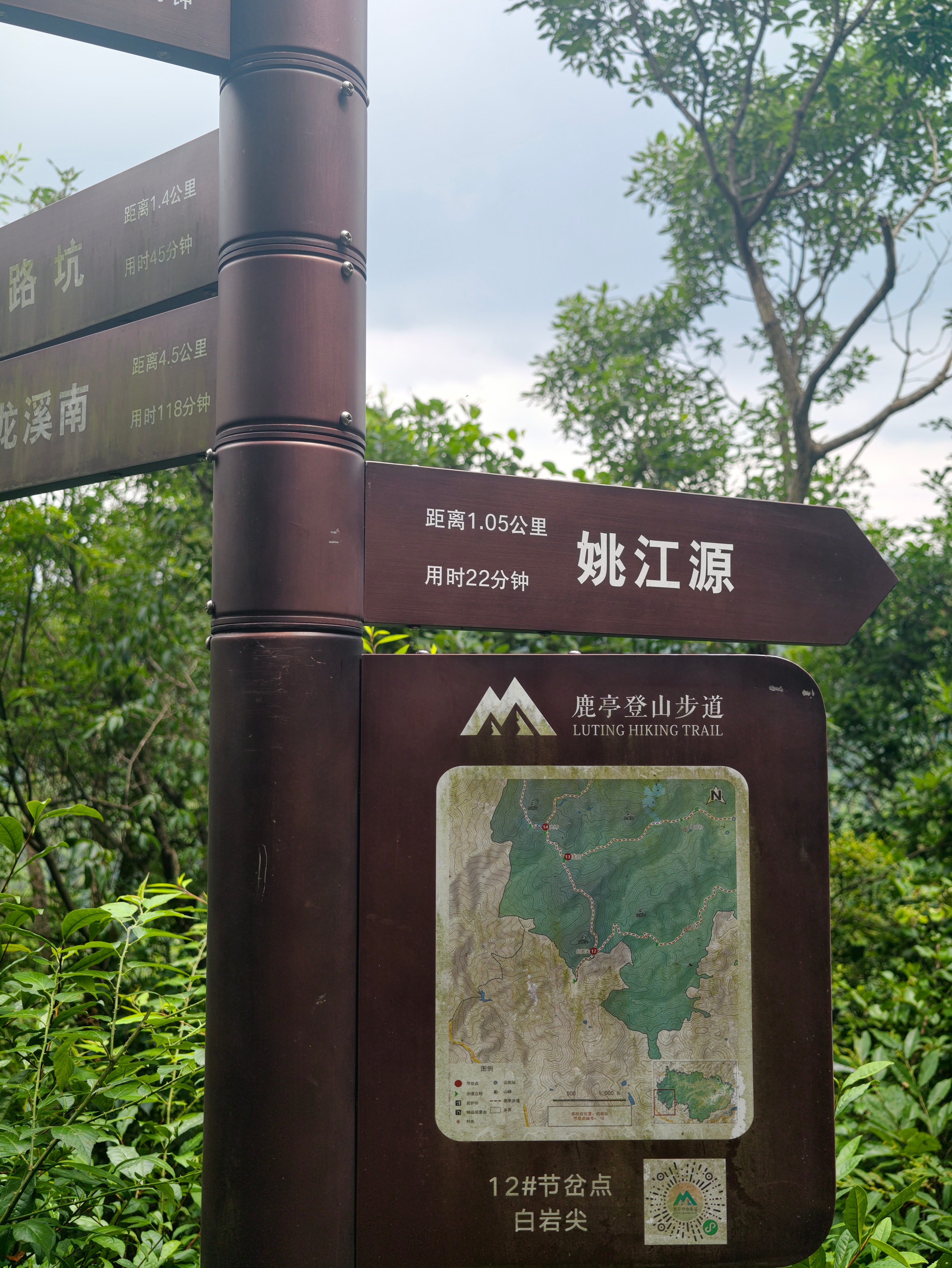 四明山白水冲林场环线，姚江源头古额古道兜一圈15km昨日闷热天进山，万幸一路密林
