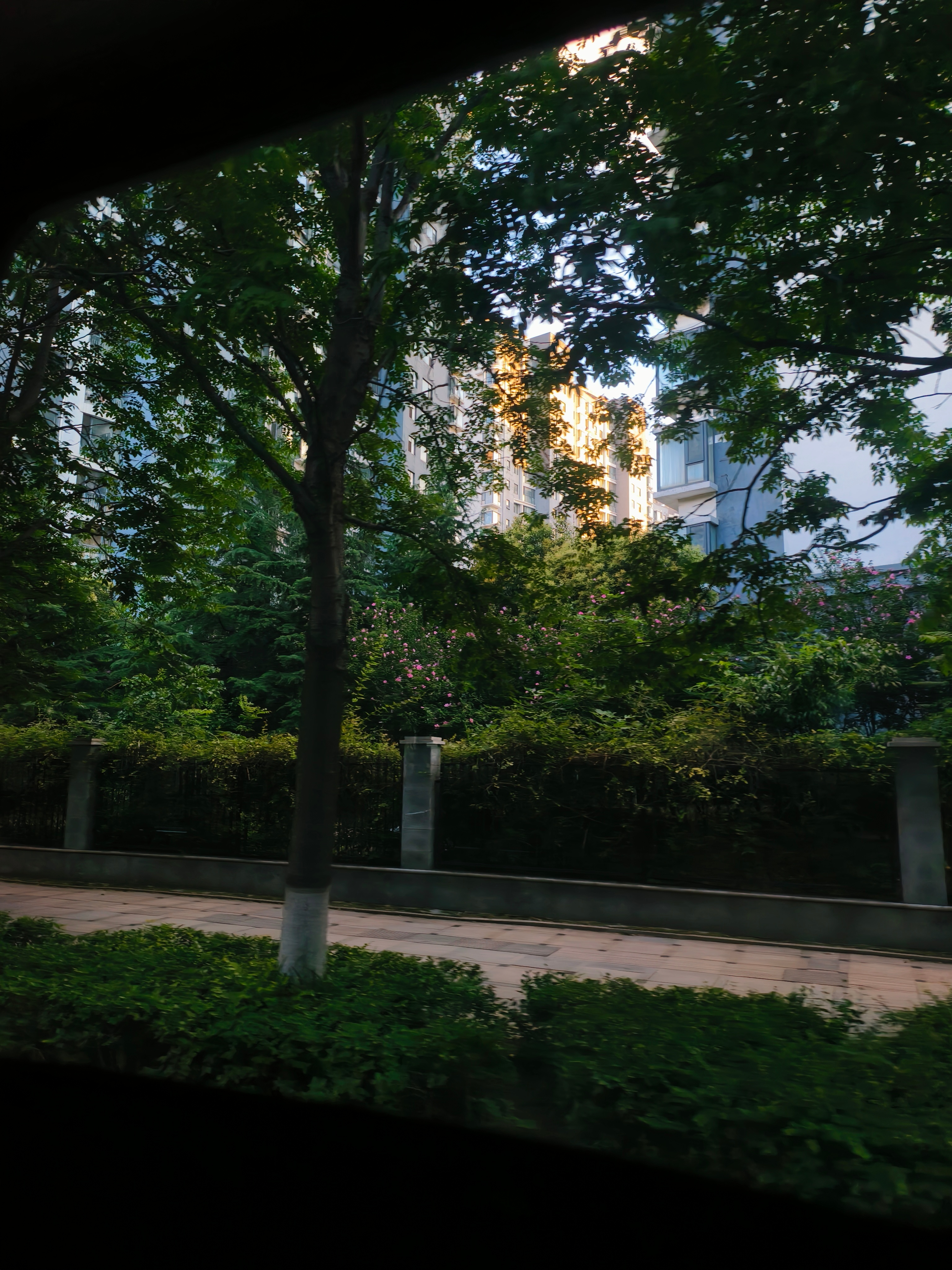 拍了张氛围感图片