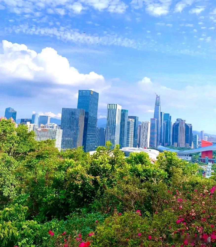 我和深圳有缘分

读中学的时候从电视上得知深圳是开放城市，感觉那是一个遥远的地方