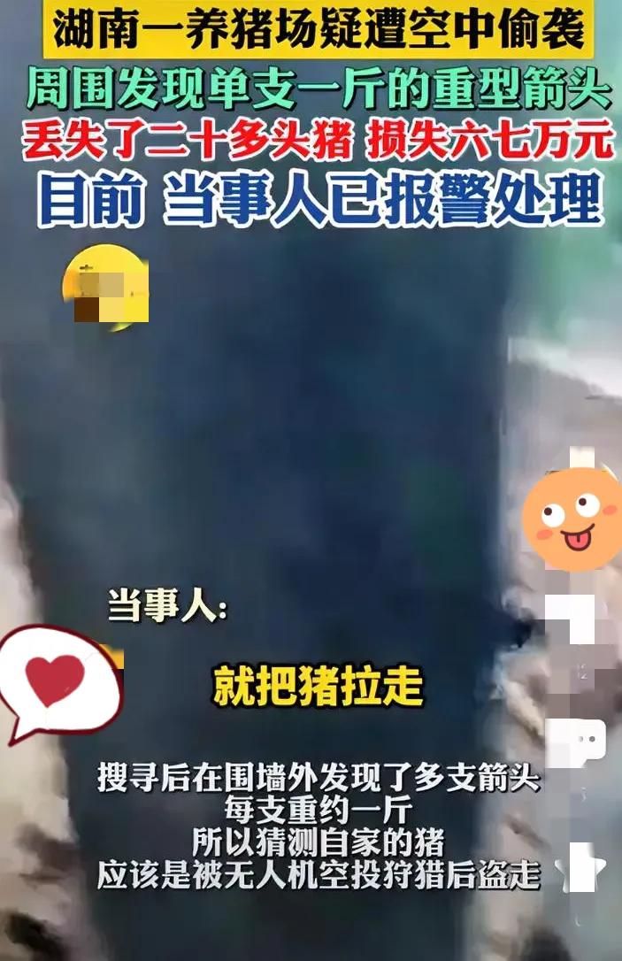 养猪场丢20多头猪！现场发现1斤重箭头，这“空中偷袭”也太离谱了
 
湖南这家养